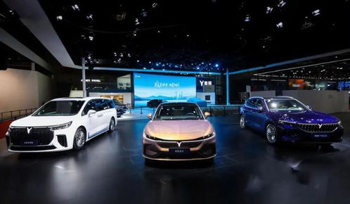 什么是中式豪華？帶你走近中式豪華電動(dòng)轎車——嵐圖追光